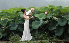 成在人线A片无码免费网址1